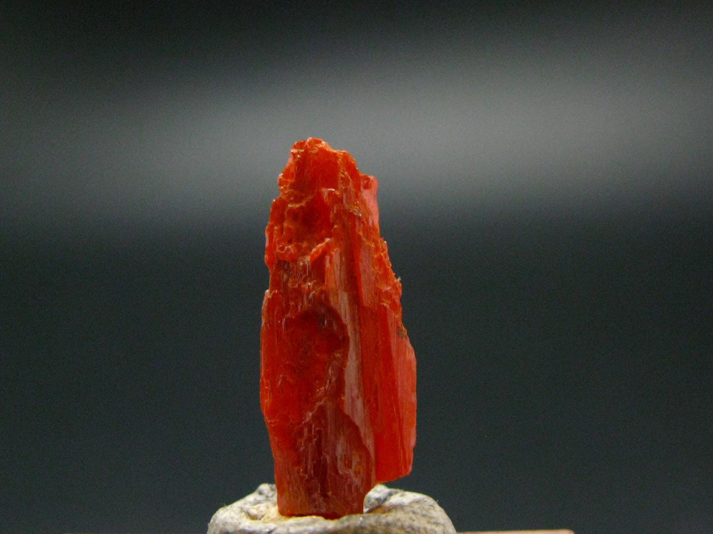 Large Orange Crocoite Crystal From Australia - 0.7" - 5.40 Carats