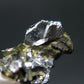 Sperrylite Crystal On Matrix From Russia - 1.3" - Huge 8mm Crystal