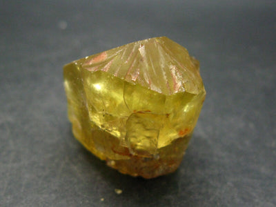 Large Gem Golden Apatite Crystal From Mexico - 1.8"