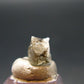 Phenakite Phenacite Crystal Bead from Brazil - 2.0 Carats