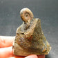 Pyritized Ammonite Fossil On Pyrite Matrix From Russia 150 MYO - 1.8" - 73.72 Grams