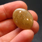 Tumbled Polished Gem Yellow Sapphire Corundum Crystal From Sri Lanka - 0.8" - 36.60 Carats