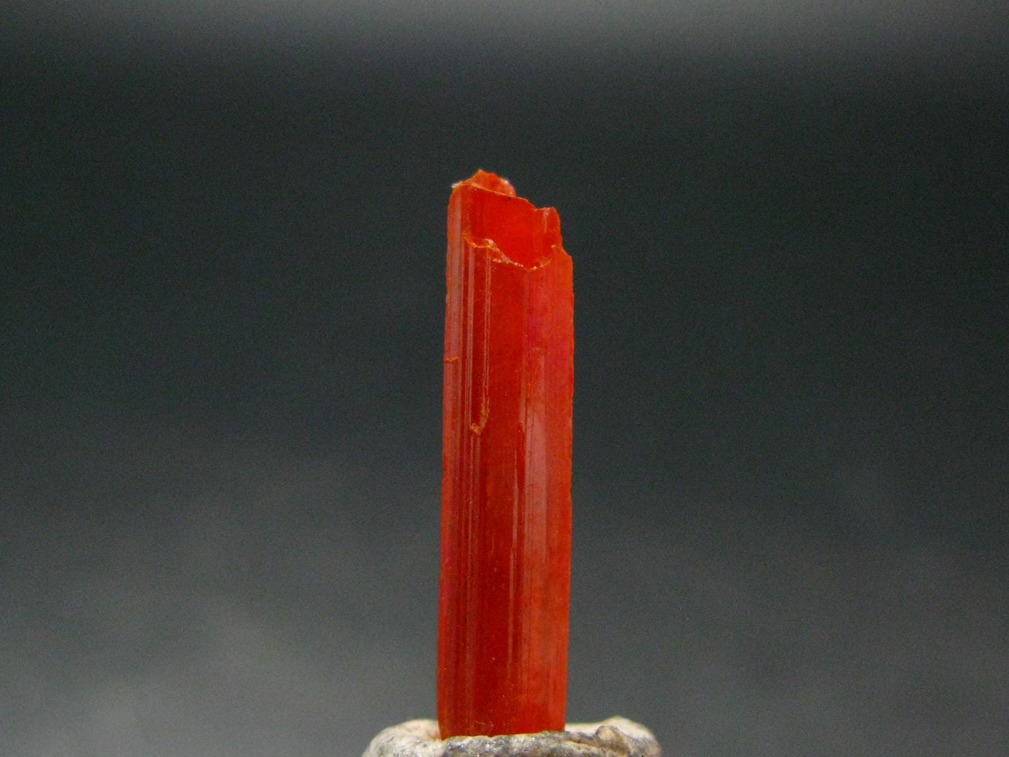 Large Orange Crocoite Crystal From Australia - 0.9" - 5.80 Carats
