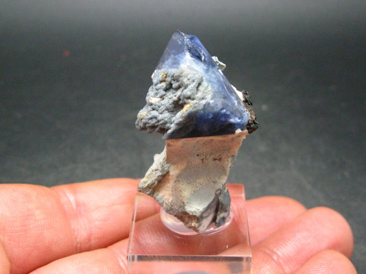 Benitoite and Neptunite on Natrolite Cluster From California - 1.7"