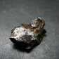 Sikhote Alin Meteorite From Russia - 7.72 Grams - 0.9"
