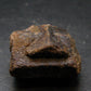 Staurolite Crystal from USA - 24.31 Grams - 1.1"