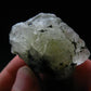 Gem Phenakite Phenacite Crystal From Russia - 39.00 Grams - 1.8"