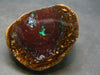 Rare Boulder Opal Piece from Australia - 1.2"