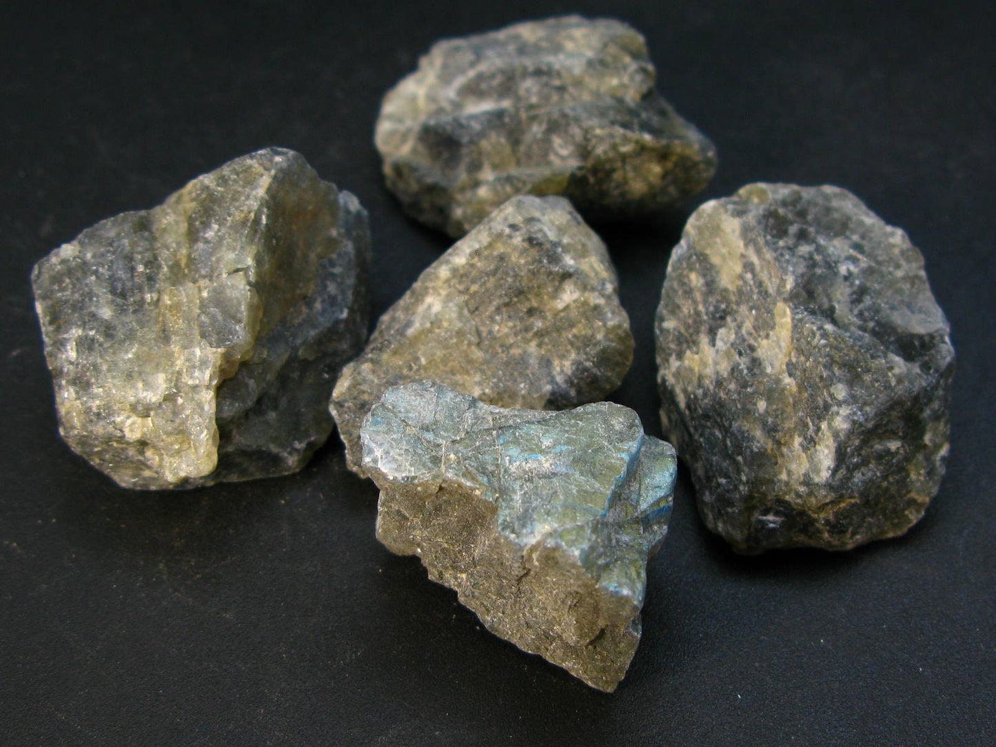 Lot of Five Rough Iridescent Labradorite from Madagascar
