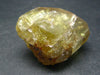 Large Gem Golden Apatite Crystal From Mexico - 1.8"