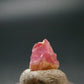 Rare Pezzottaite Crystal from Madagascar - 1.55 Carats - 0.3"