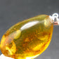 Natural Insects in Baltic Amber 925 Silver Pendant from Poland - 1.5" - 4.85 Grams