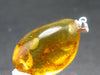 Natural Insects in Baltic Amber 925 Silver Pendant from Poland - 1.5" - 4.85 Grams