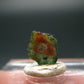 Rare Watermelon Tourmaline Crystal Slice From Brazil - 1.35 Carats