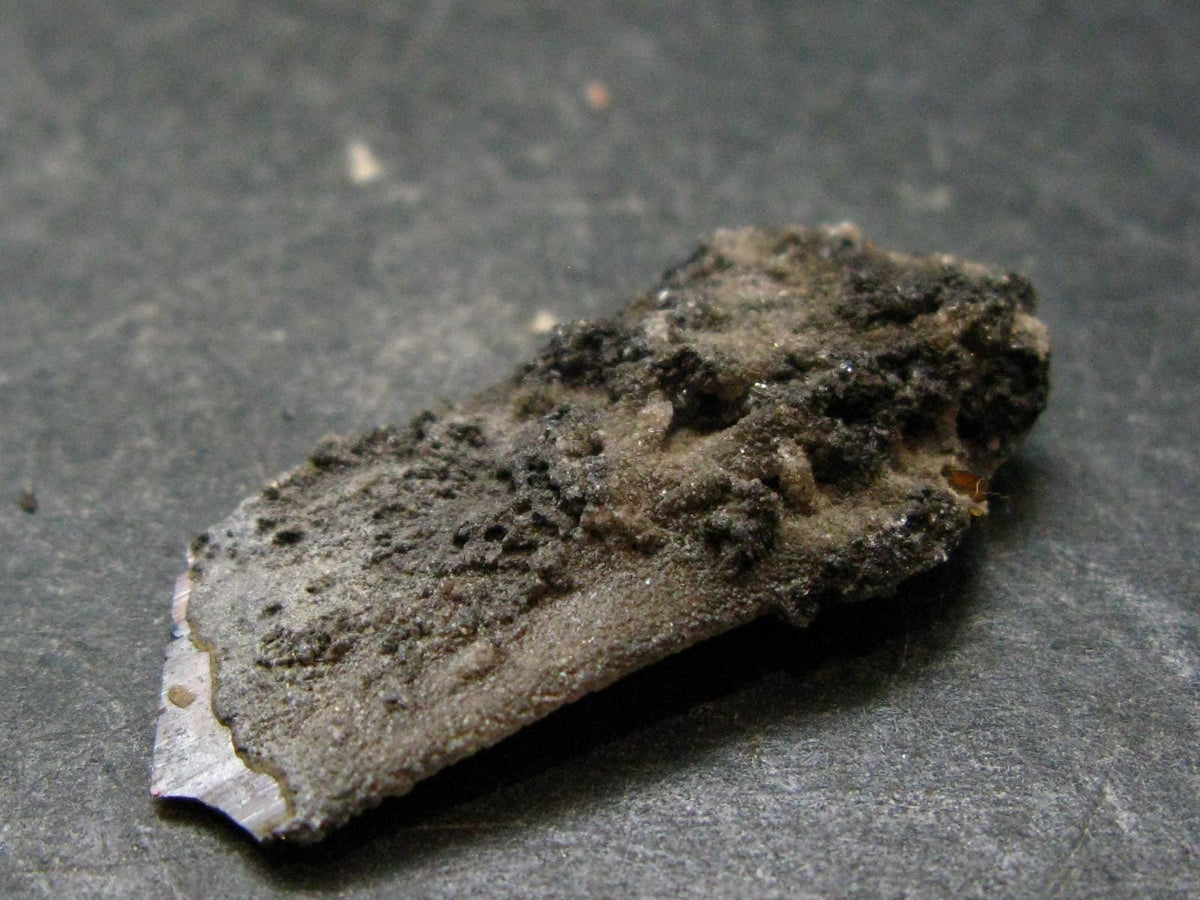 Large Brookite Crystal From Pakistan - 1.91 Grams - 30 mm