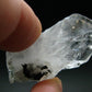 Gem Phenakite Phenacite Crystal From Russia - 9.95 Grams - 1.7"