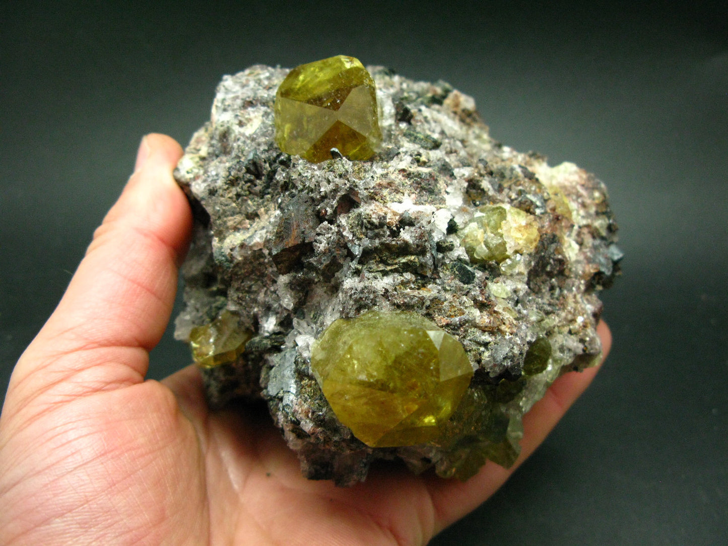 Museum Golden Apatite Cluster From Mexico - 4.8"