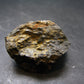 Large Magnetite Crystal from Bolivia - 1.3"