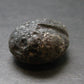 Colombianite Pseudotektite from Colombia - 8.14 Grams - 0.9"