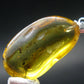 Natural Insects in Baltic Amber 925 Silver Pendant from Poland - 1.6" - 3.90 Grams