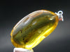Natural Insects in Baltic Amber 925 Silver Pendant from Poland - 1.6" - 3.90 Grams