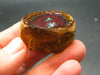 Rare Boulder Opal Piece from Australia - 1.2"