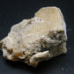 Rare Blue Apatite Cluster from Russia - 3.1" - 143 Grams