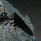 Benitoite and Neptunite on Natrolite Cluster From California - 3.5" - 50.05 Grams