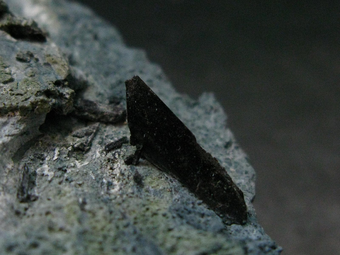 Benitoite and Neptunite on Natrolite Cluster From California - 3.5" - 50.05 Grams