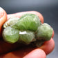 Rare 94.65 Carat Gem Peridot Olivine Cluster from Pakistan - 1.3"