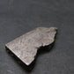 Large Gibeon Meteorite From Namibia - 0.8" - 3.6 Grams