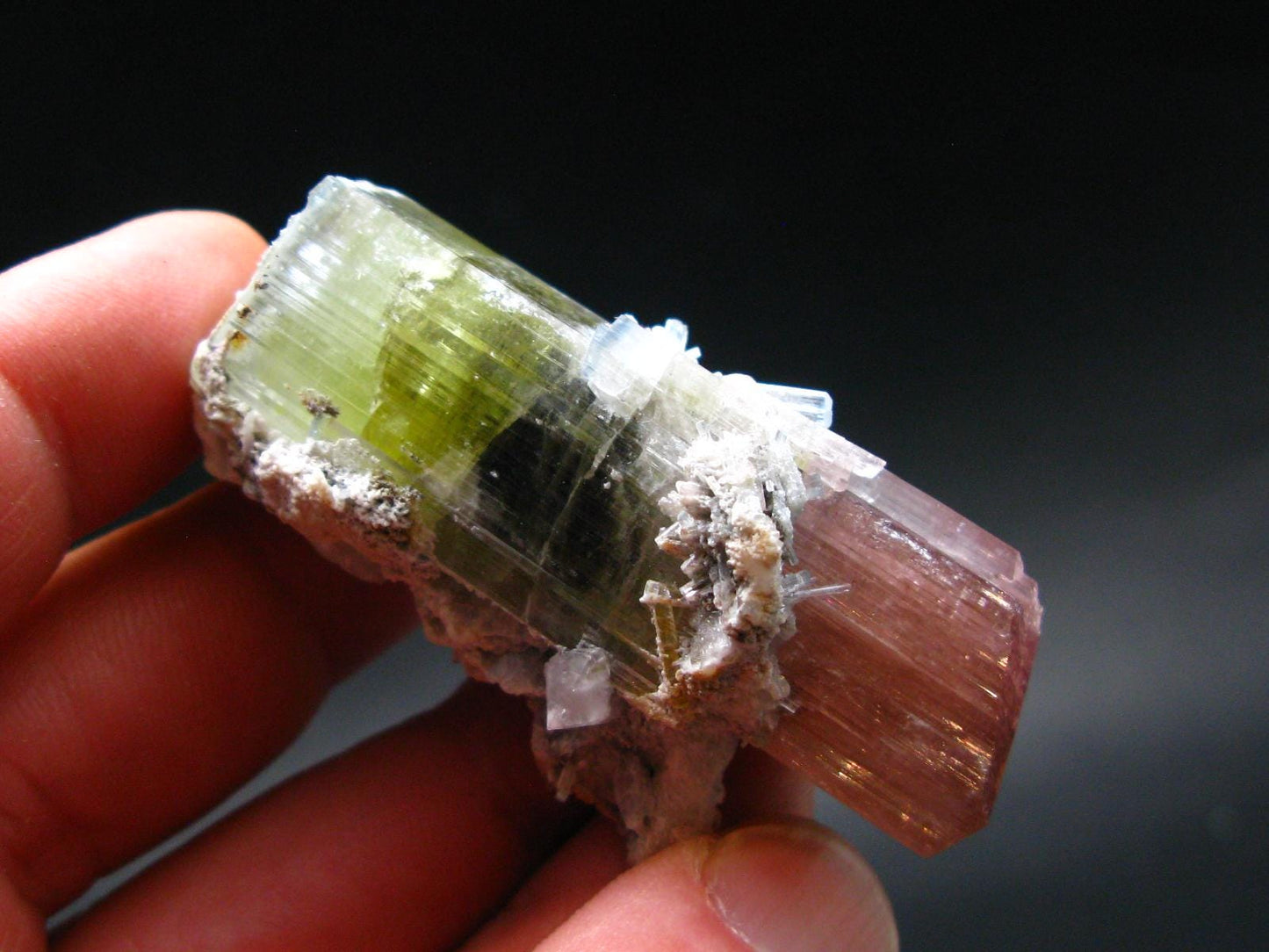 Rare Watermelon Tourmaline Crystal From Pakistan - 2.3" - 56 Grams