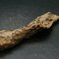 Large Fulgurite Lightning Rock From Sahara Desert - 4.5"