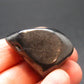 Elite Shungite Tumbled Piece from Russia - 1.1" - 11.91 Grams