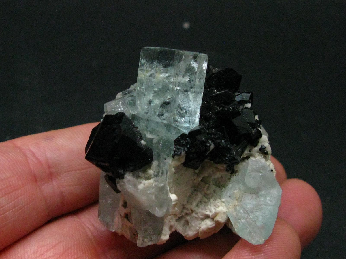 Gem Aquamarine & Black Tourmaline Crystal From Erongo Namibia - 2.1"