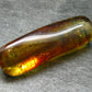 Insects in Amber Piece From Baltic Sea - 5.51 Grams - 1.8"