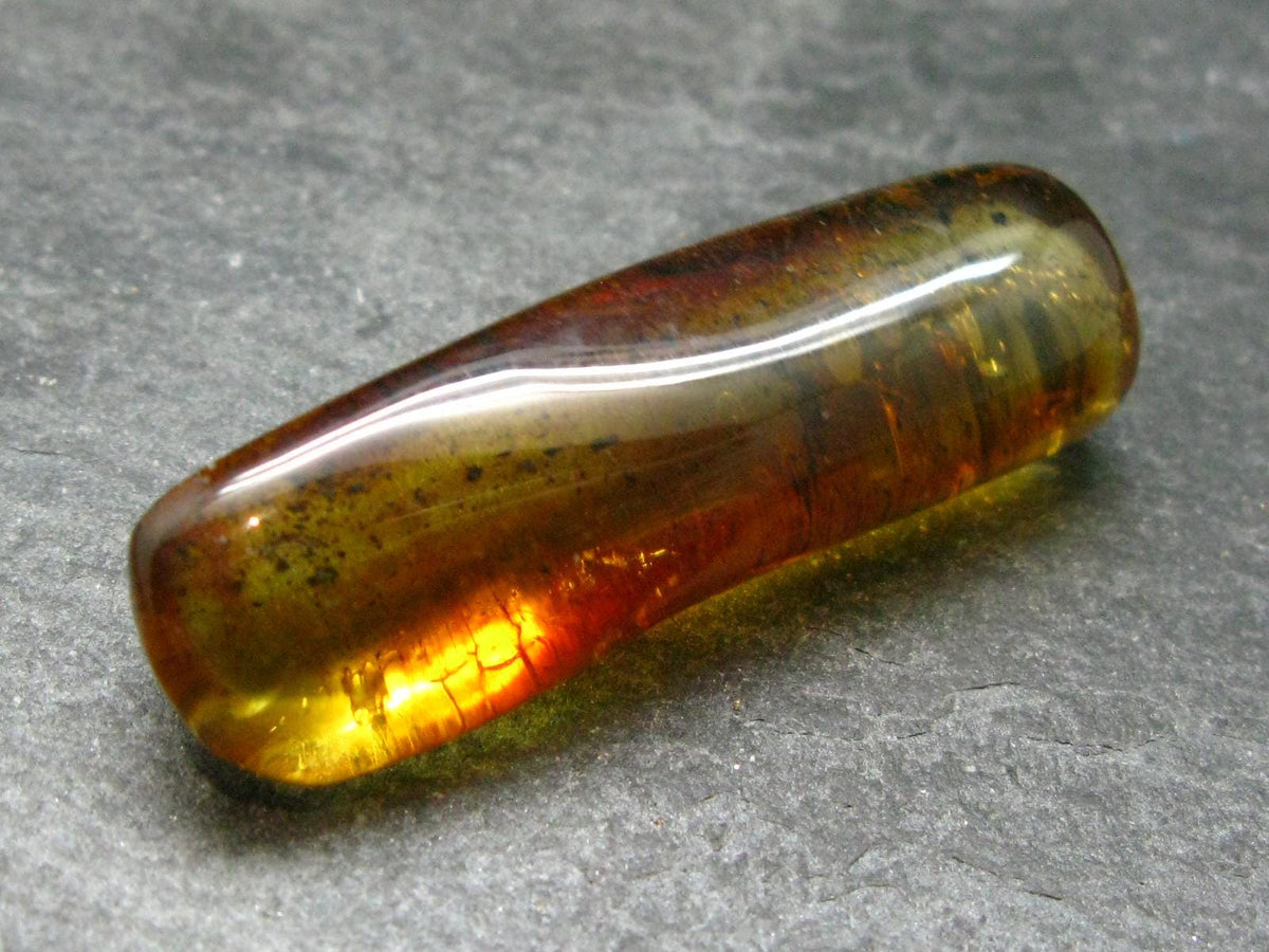 Insects in Amber Piece From Baltic Sea - 5.51 Grams - 1.8"