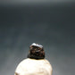 Rare Painite Crystal From Myanmar - 2.20 Carats
