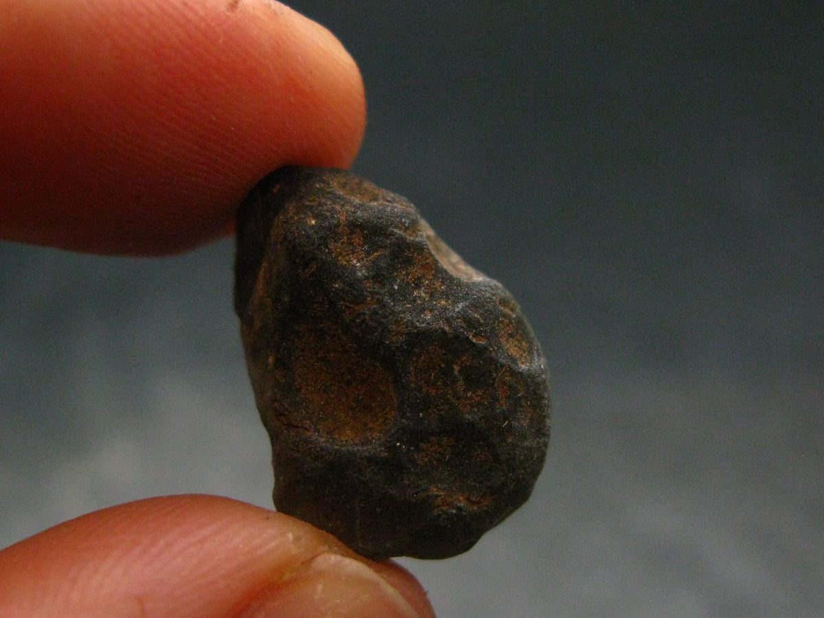 Rare Saffordite Cintamani Stone Pseudotektite Piece from Arizona USA - 12.45 Carats - 0.7"