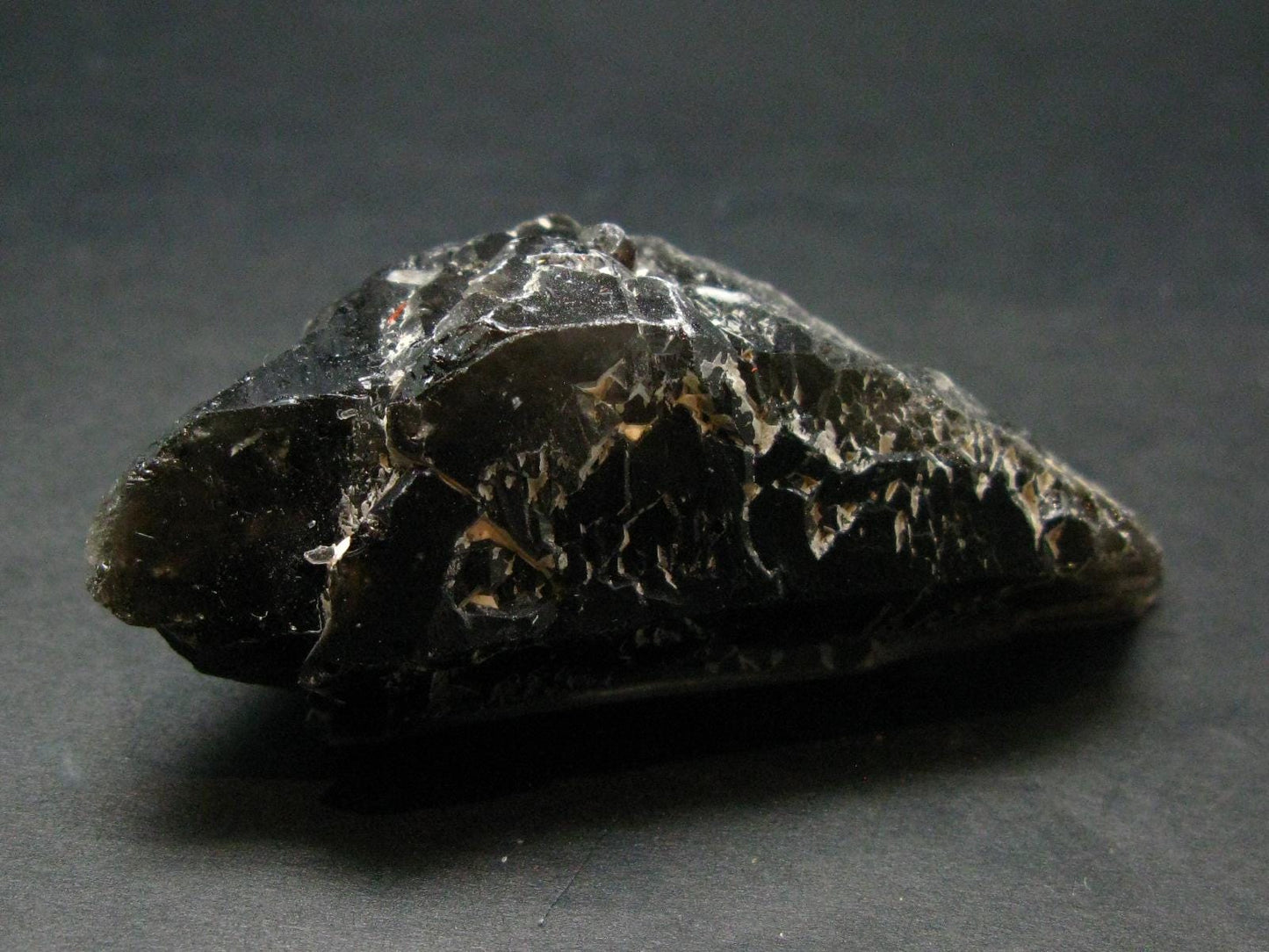 Smoky Quartz Crystal from Brazil - 2.7" - 61.75 Grams