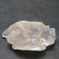 Large Clear Petalite Crystal from Brazil - 4.8 Grams - 1.1"
