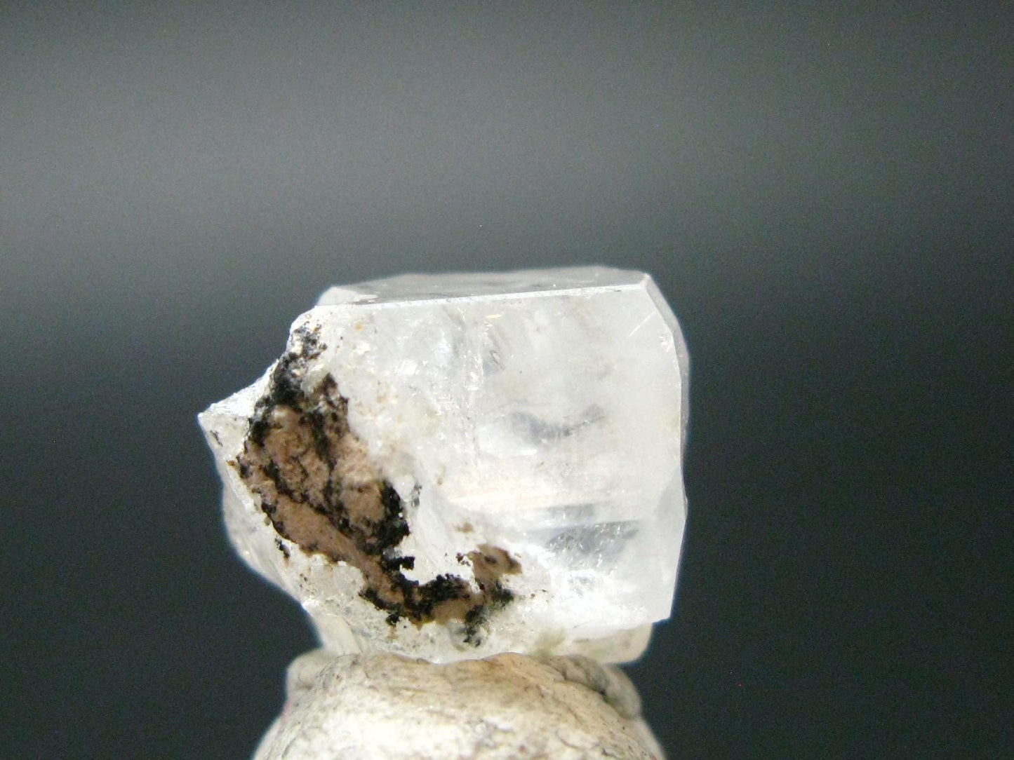 Rare Phenakite Phenacite Crystal from Madagascar - 13.45 Carats - 0.5"