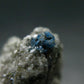 Hauyne Cluster From Germany - 1.2" - 8.65 Grams