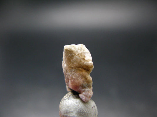 Rare Pink Tugtupite Raw Piece From Greenland - 0.95 Grams - 0.5"