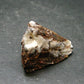 Astrophylite Astrophyllite Cluster From Russia - 1.1" - 12.46 Grams