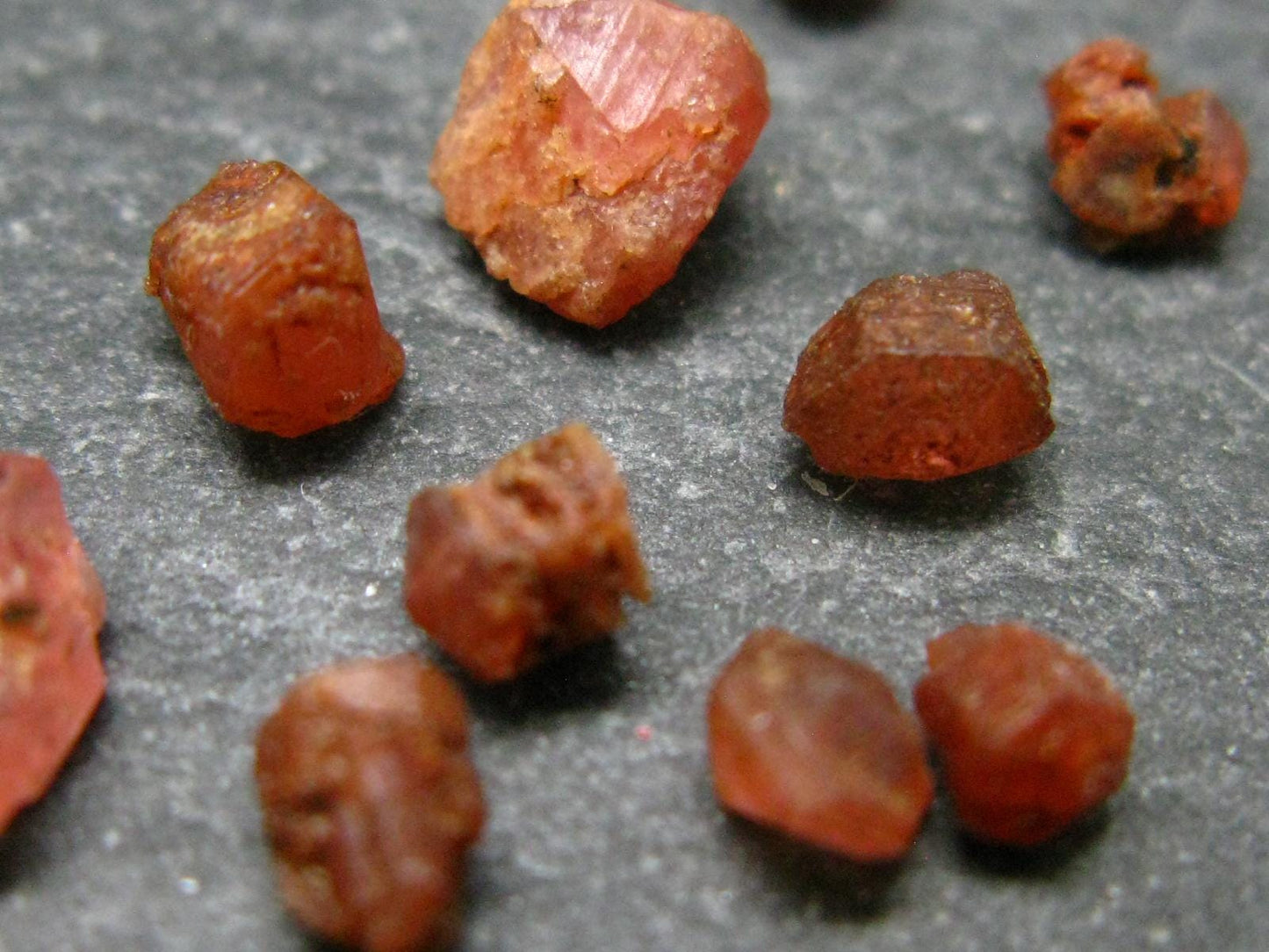 Rare Lot of 10 Pezzottaite Pink Beryl Crystals from Madagascar - 6.17 Carats