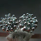 Alexandrite Gem Silver Stud Earrings From Russia - 2.55 Grams