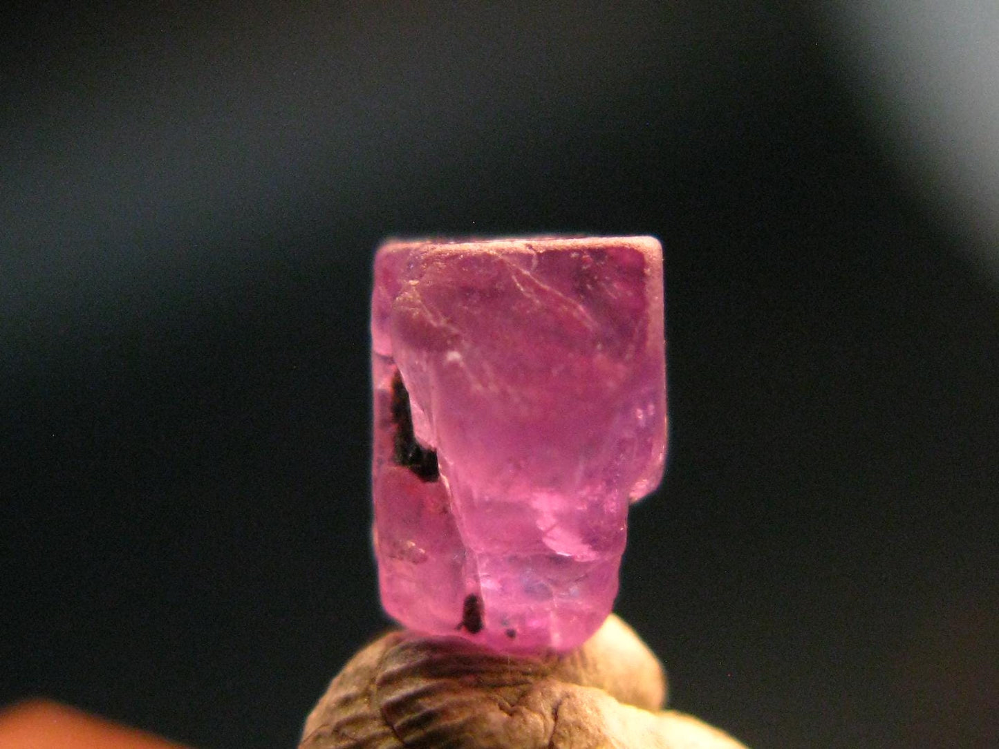 Large Alexandrite Chrysoberyl Crystal From Tanzania - 1.31 Carats