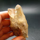 Natural Unheated Citrine Crystal from Congo - 74.08 Grams
