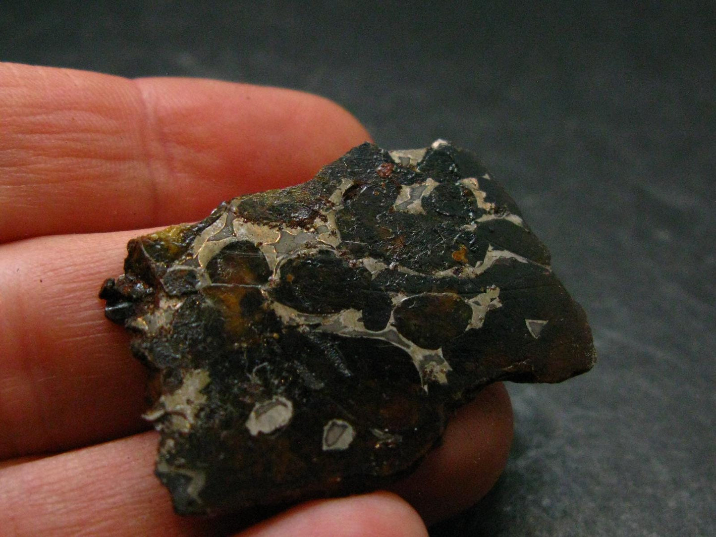 Large Sericho Meteorite Pallasite Olivine Slice From Kenya - 1.4" - 7.38 Grams